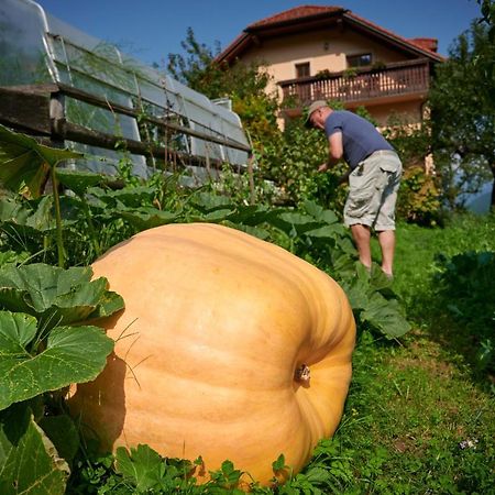 LjubnoTourist Farm Kolar别墅 外观 照片