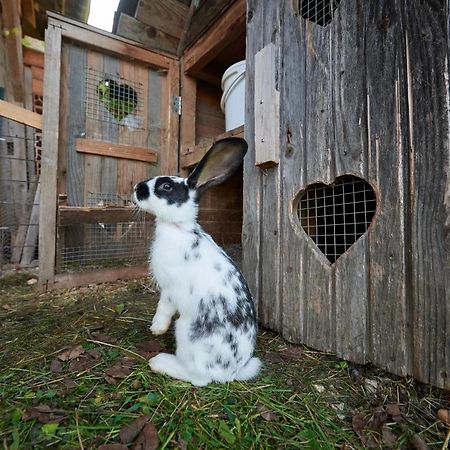 LjubnoTourist Farm Kolar别墅 外观 照片