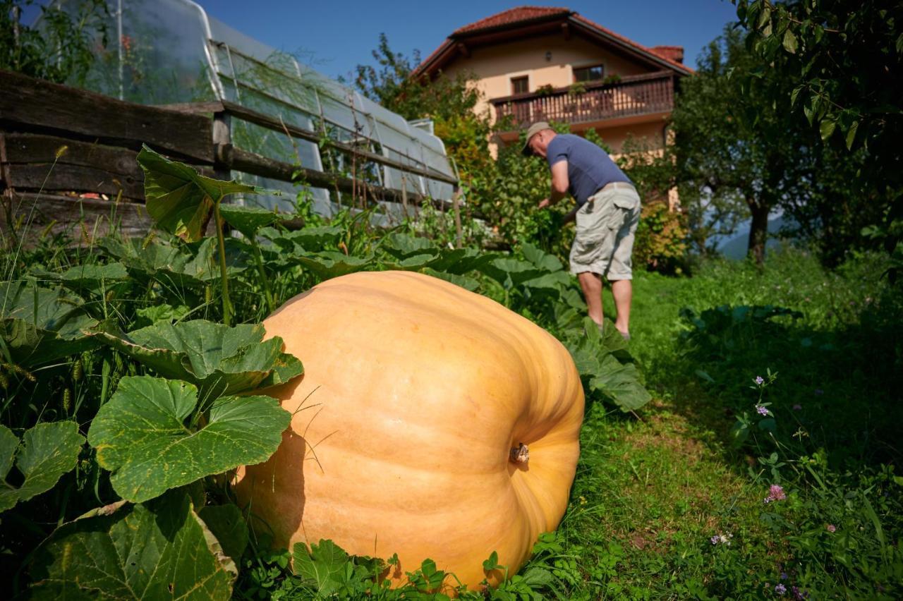 LjubnoTourist Farm Kolar别墅 外观 照片