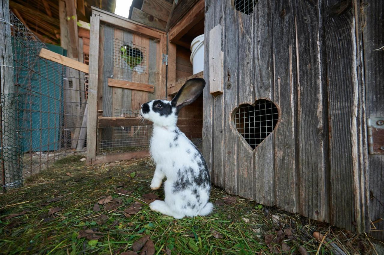 LjubnoTourist Farm Kolar别墅 外观 照片